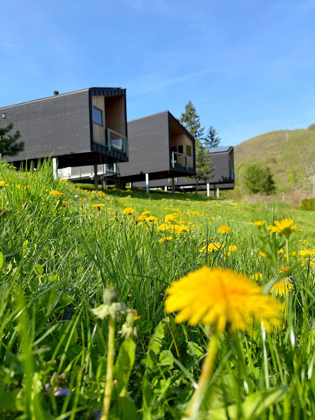 Post 1 by Naturlodges Edersee on Instagram (image)