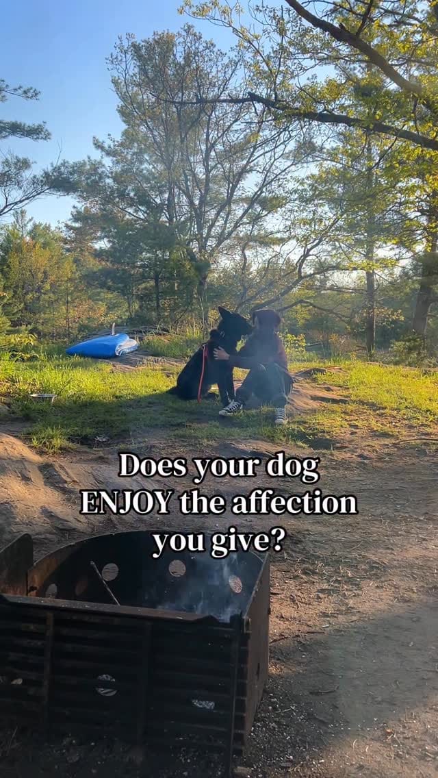 Post 5 by The Tired Pooch 🇨🇦 on Instagram (video)