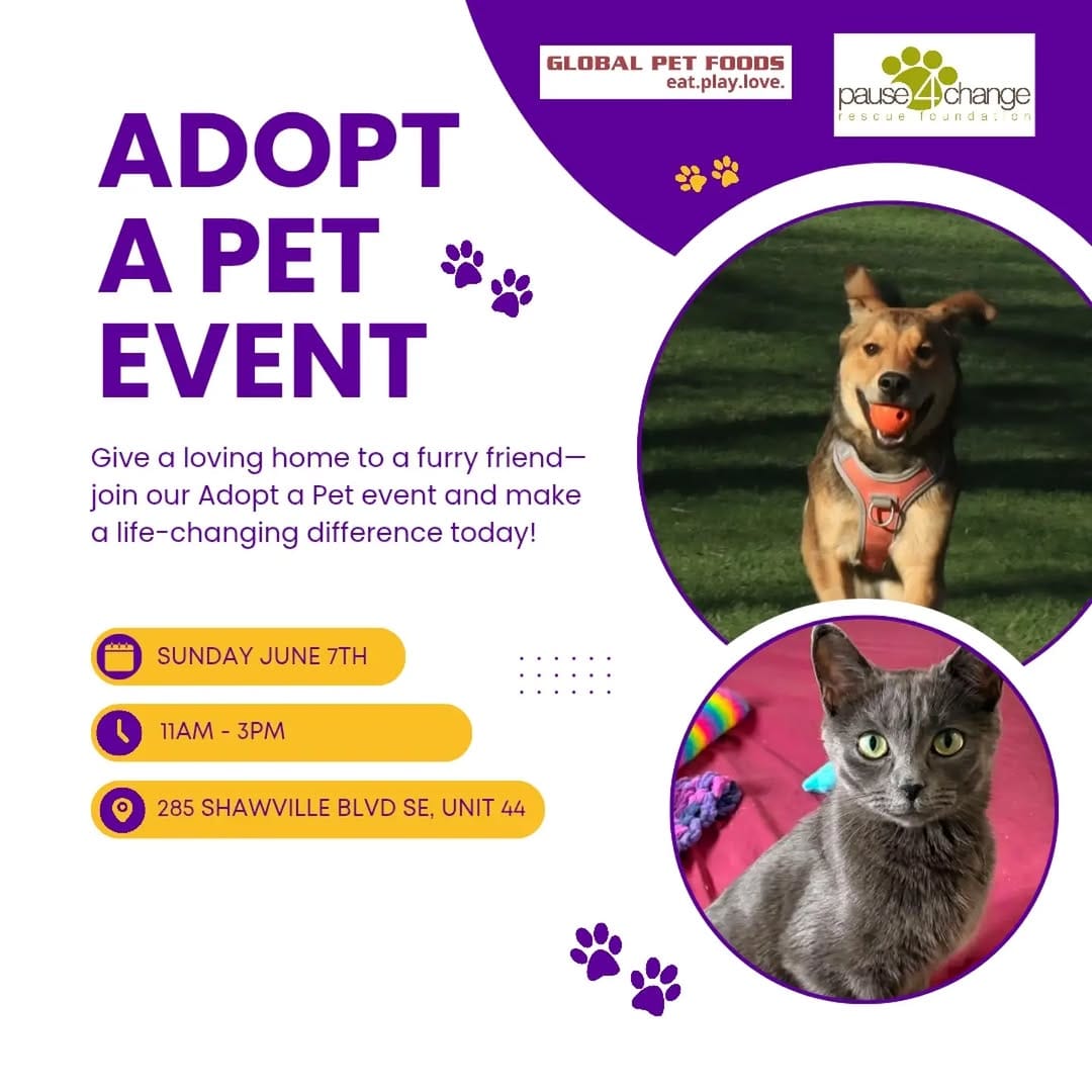 Post 8 by Calgary / YYC Dog & Cat Rescue | Pet Food Bank | Fosters Needed on Instagram (image)