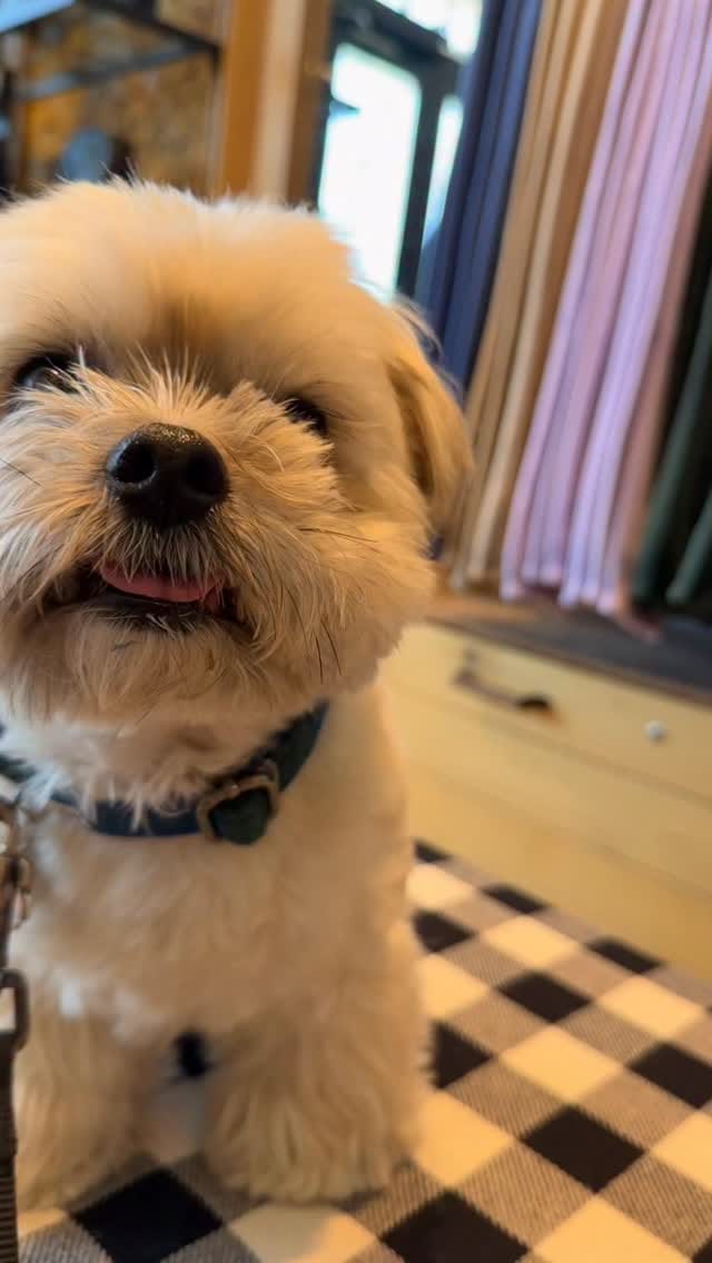 Post 9 by Jake Havamalt on Instagram (video)