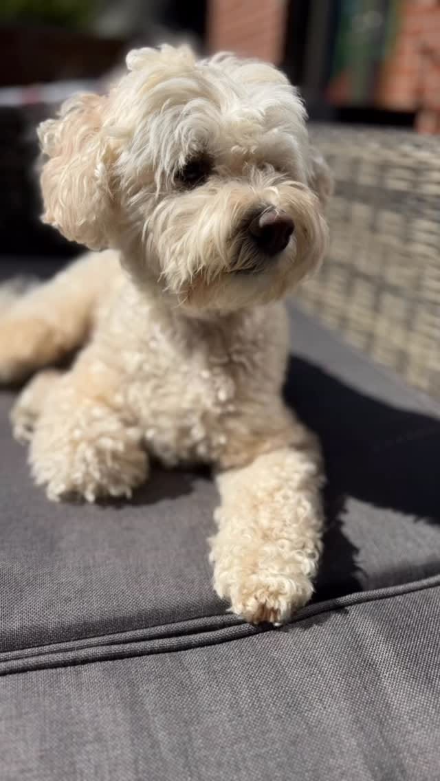 Post 6 by Jake Havamalt on Instagram (video)
