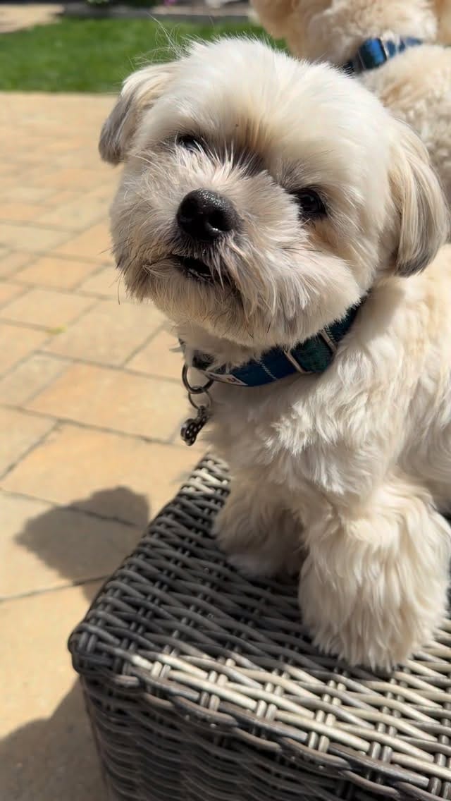 Post 7 by Jake Havamalt on Instagram (video)