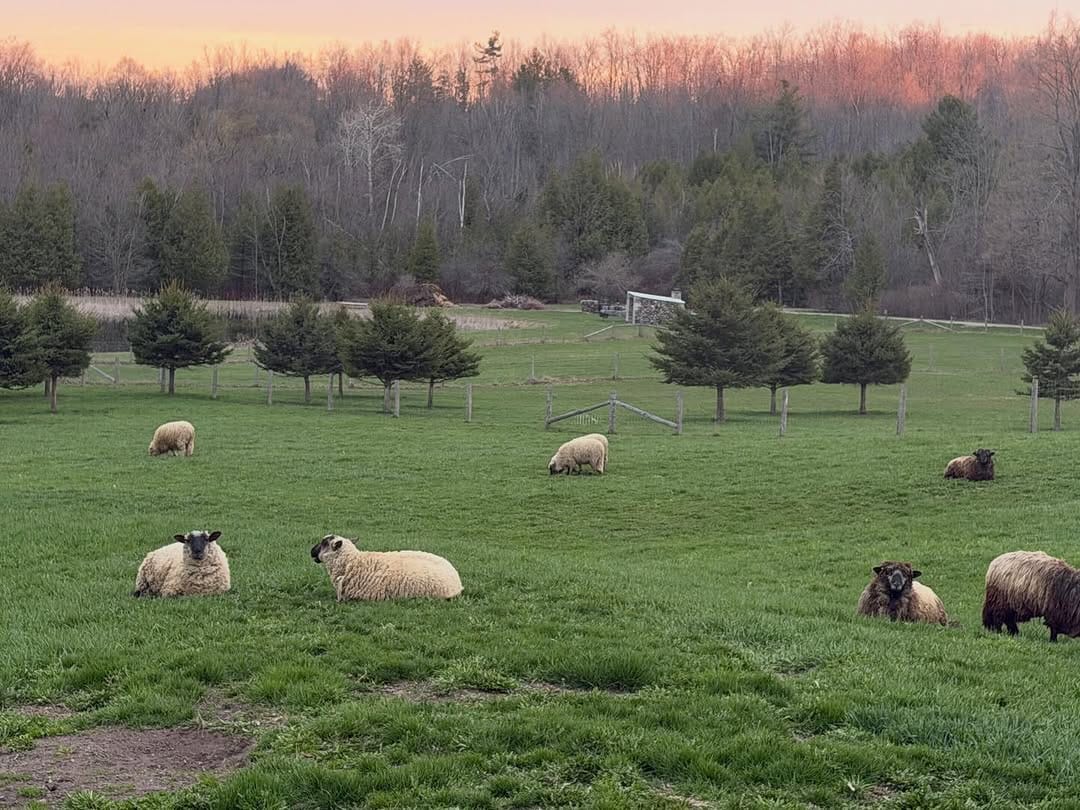 Post 6 by Tamarack Farms on Instagram (image)