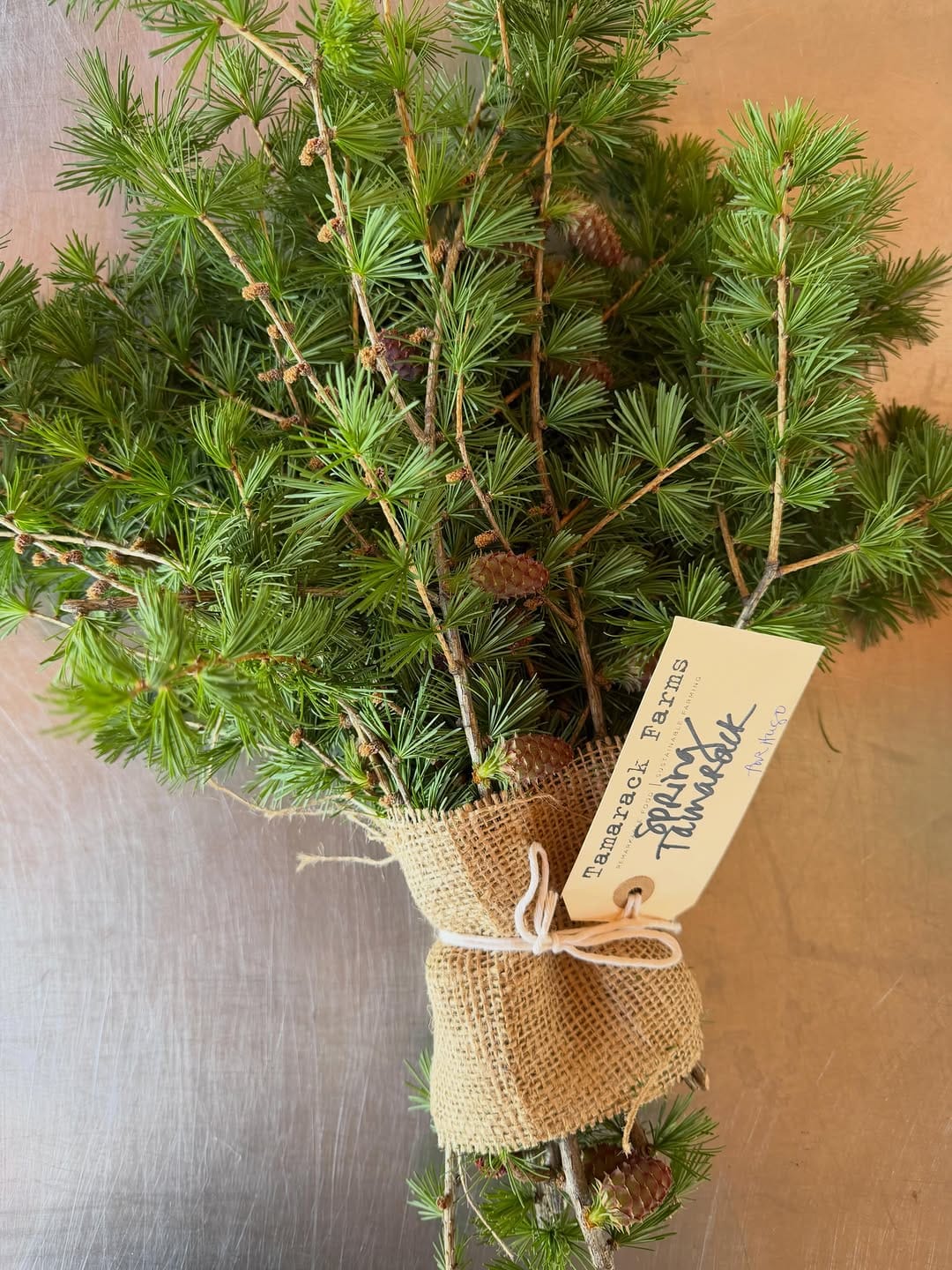 Post 1 by Tamarack Farms on Instagram (image)