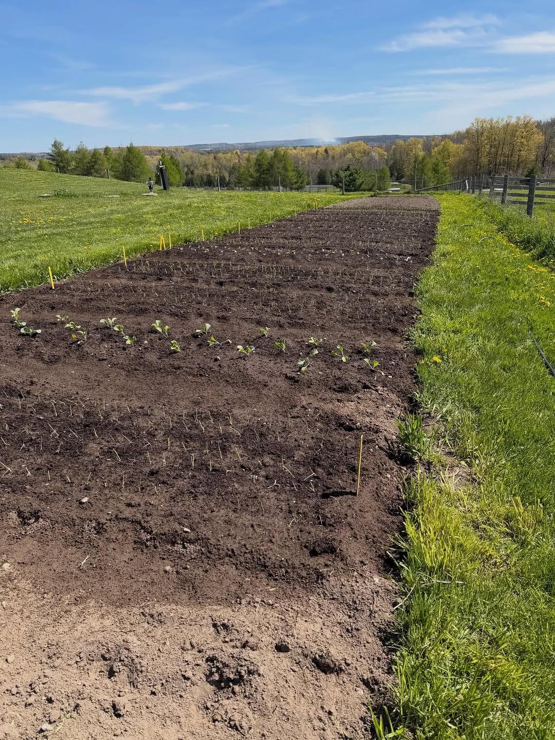 Post 3 by Tamarack Farms on Instagram (image)