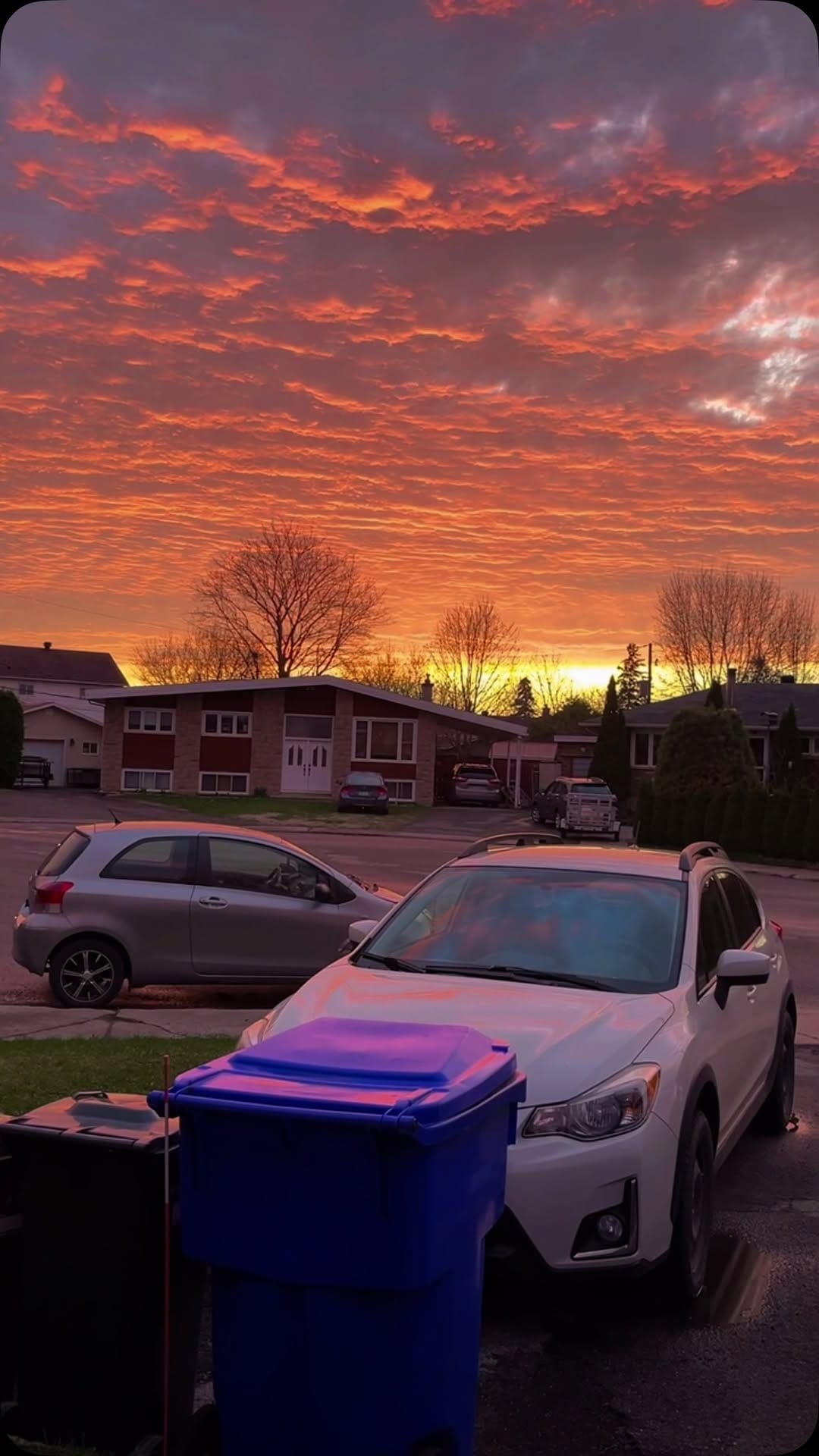 Post 8 by @sifou.jpeg on Instagram (video)