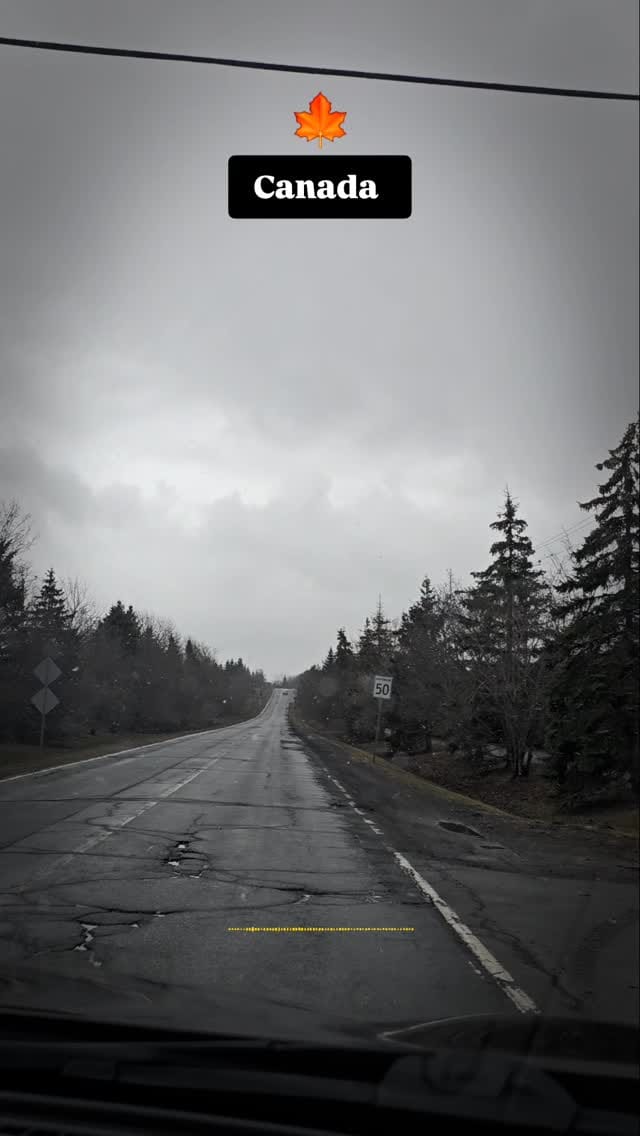 Post 7 by Sanndy Bose 🇨🇦 on Instagram (video)