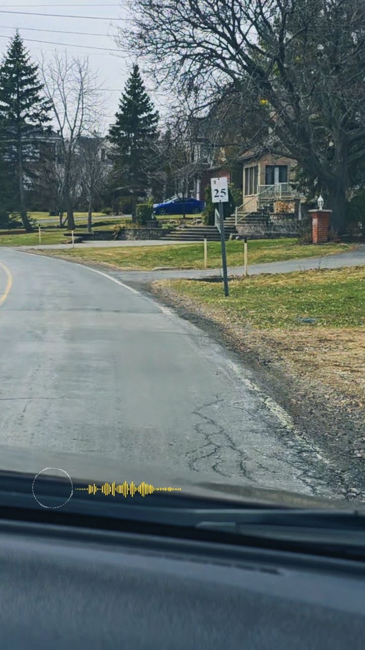 Post 2 by Sanndy Bose 🇨🇦 on Instagram (video)