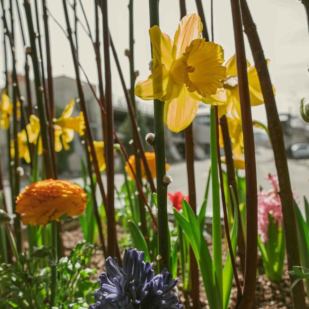 Post 5 by Penticton Lakeside Resort on Instagram (carousel)