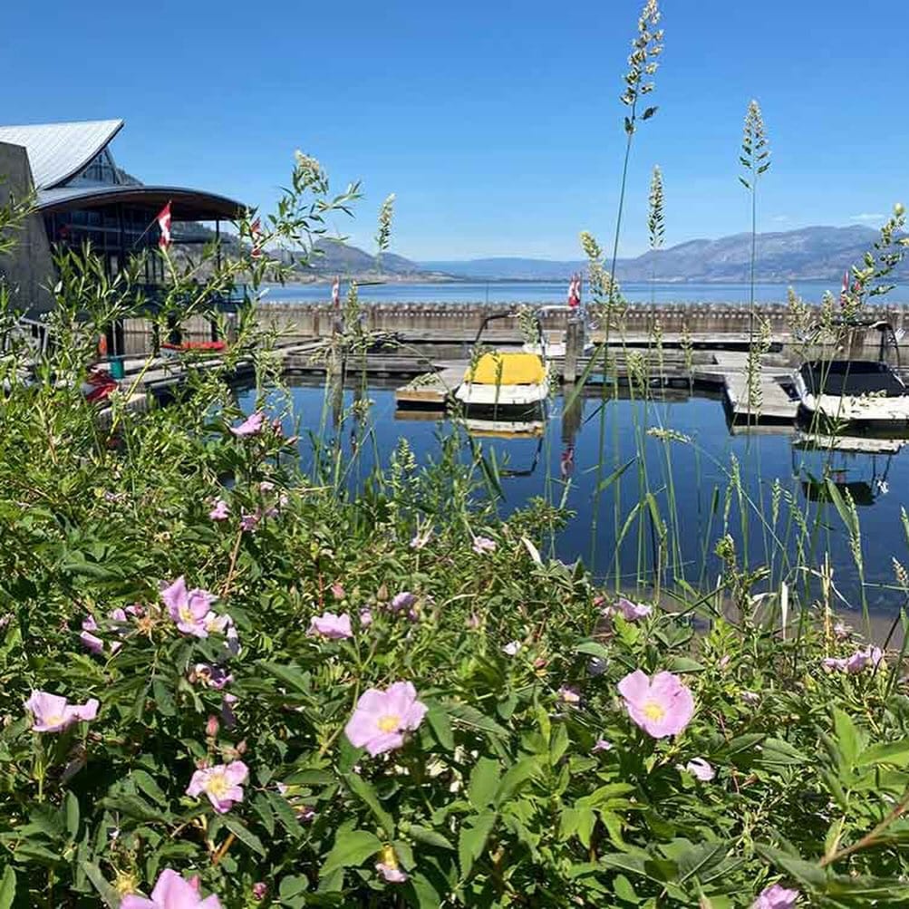 Post 4 by Penticton Lakeside Resort on Instagram (carousel)