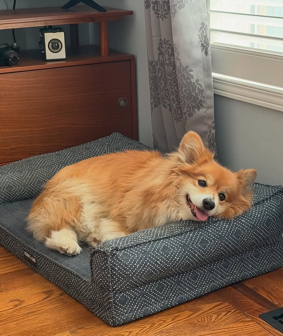 Post 5 by Ripley & Monica! 💖 on Instagram (image)
