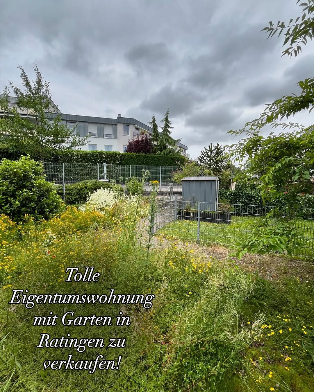 Post 3 by Foltin Immobilien on Instagram (carousel)