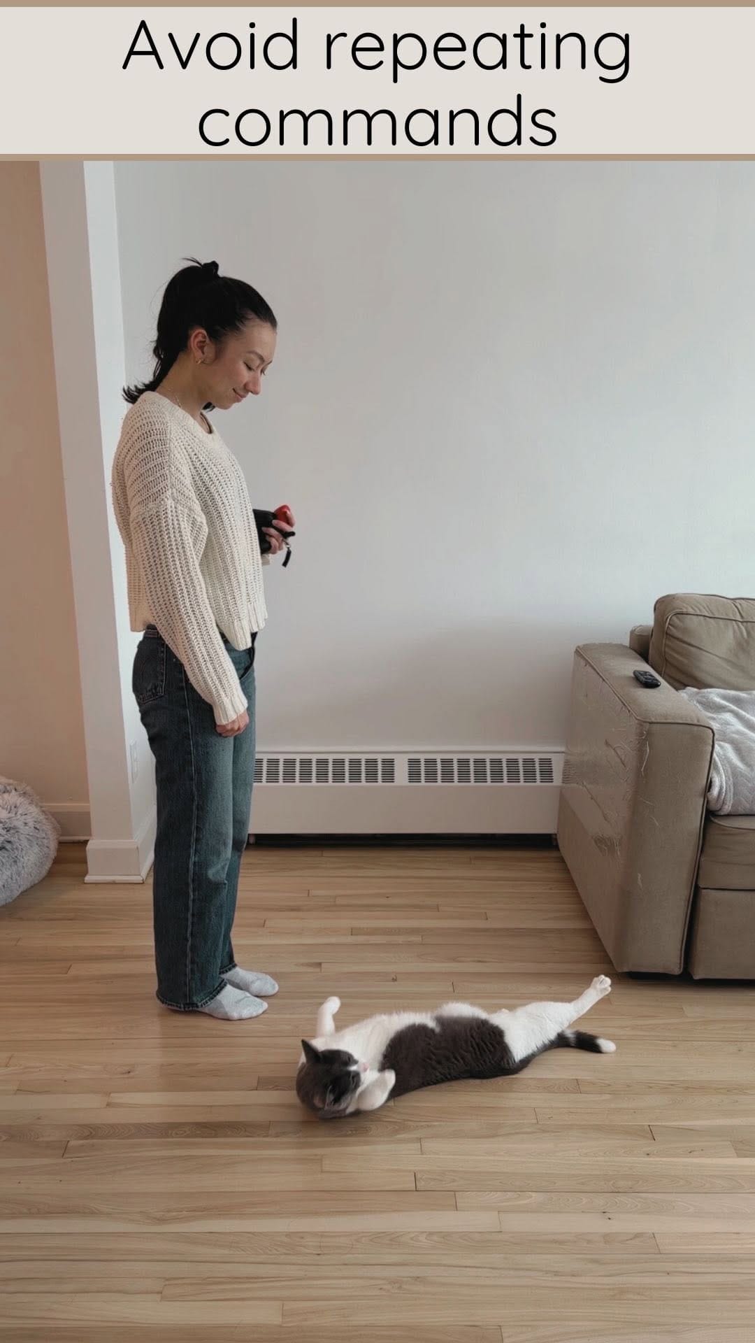 Post 3 by Mike & Boris | Cat tricks on Instagram (video)