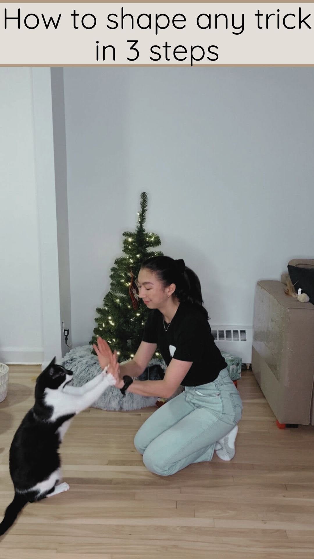 Post 8 by Mike & Boris | Cat tricks on Instagram (video)