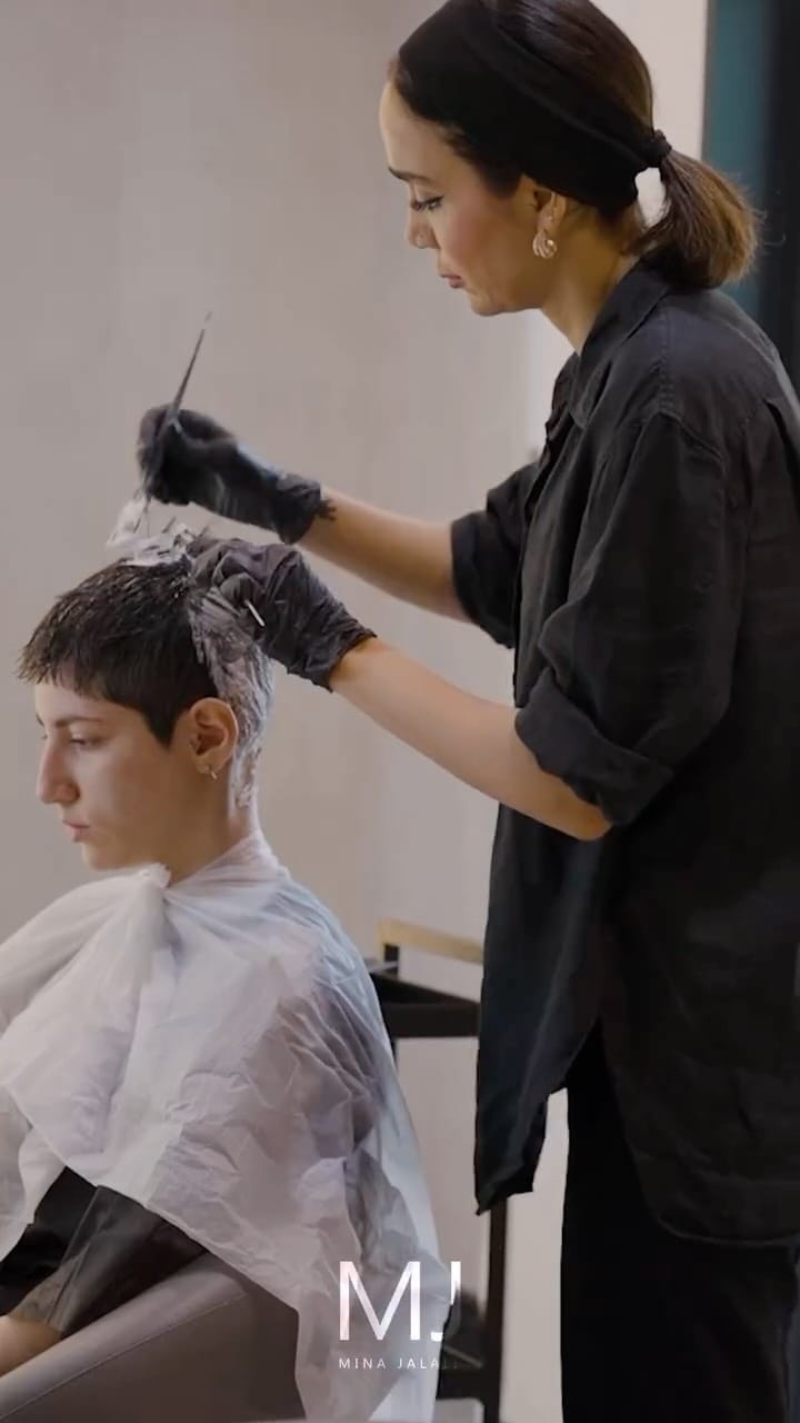 Post 8 by Mina Jalali on Instagram (video)