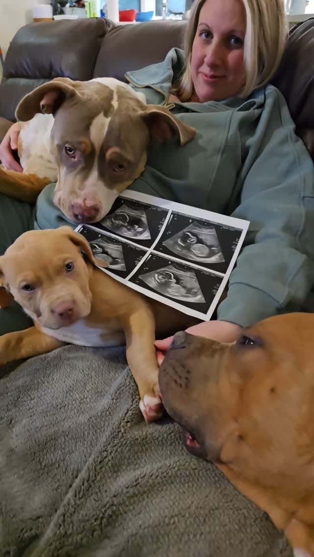 Post 5 by Pure Pitbullz on Instagram (video)