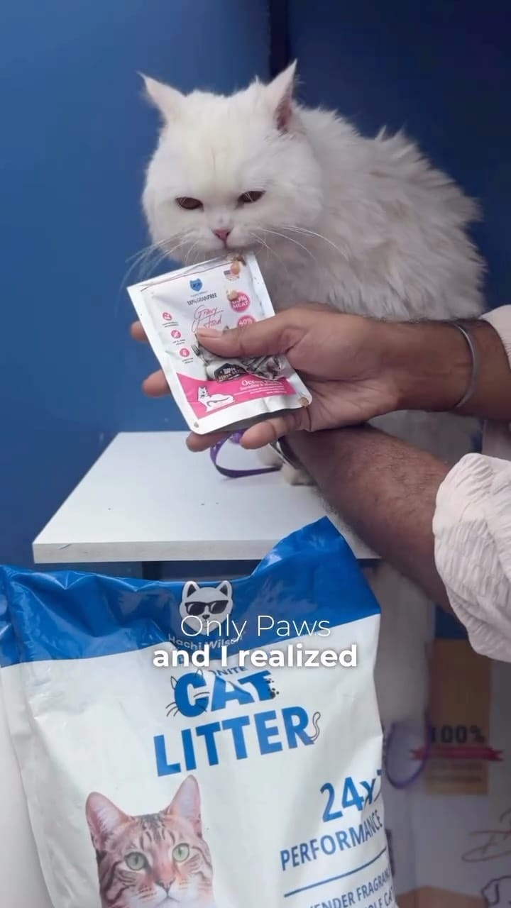 Post 10 by Hachi Wilson on Instagram (video)