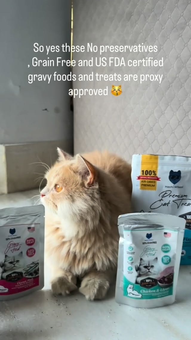 Post 8 by Hachi Wilson on Instagram (video)