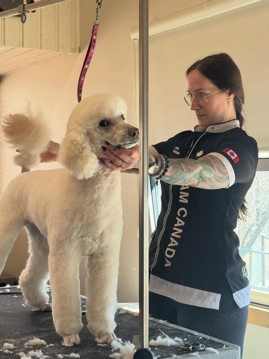 Post 1 by Beau Canine Essentials on Instagram (carousel)
