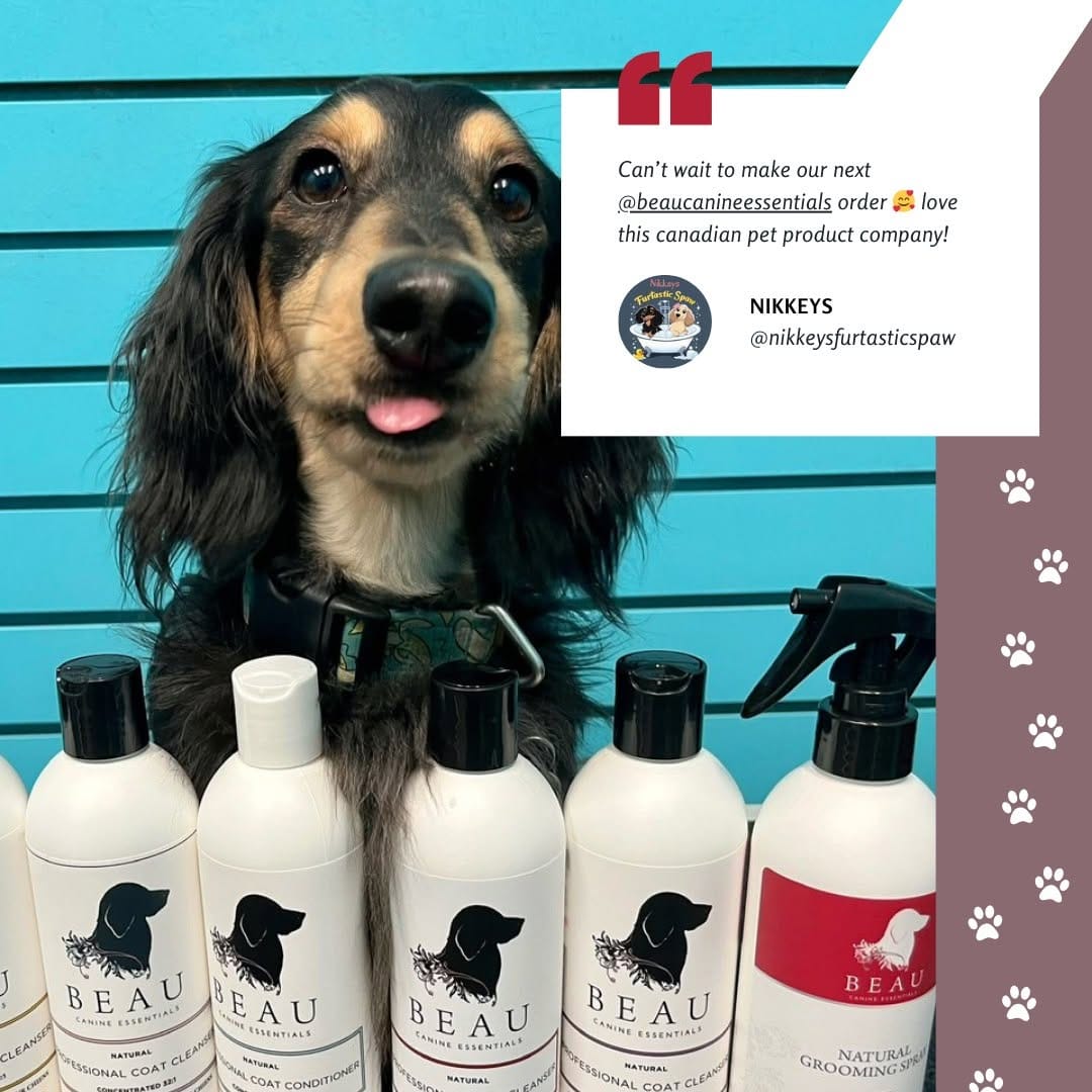 Post 9 by Beau Canine Essentials on Instagram (image)