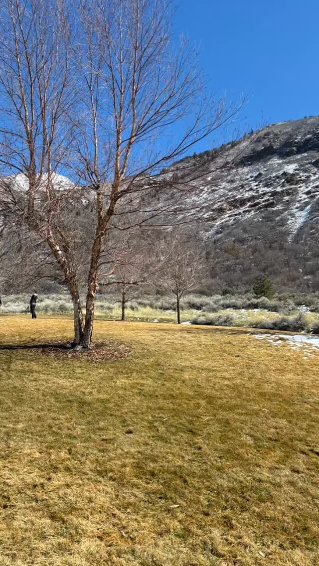 Post 5 by Carole Kapeliela | Utah Realtor on Instagram (video)