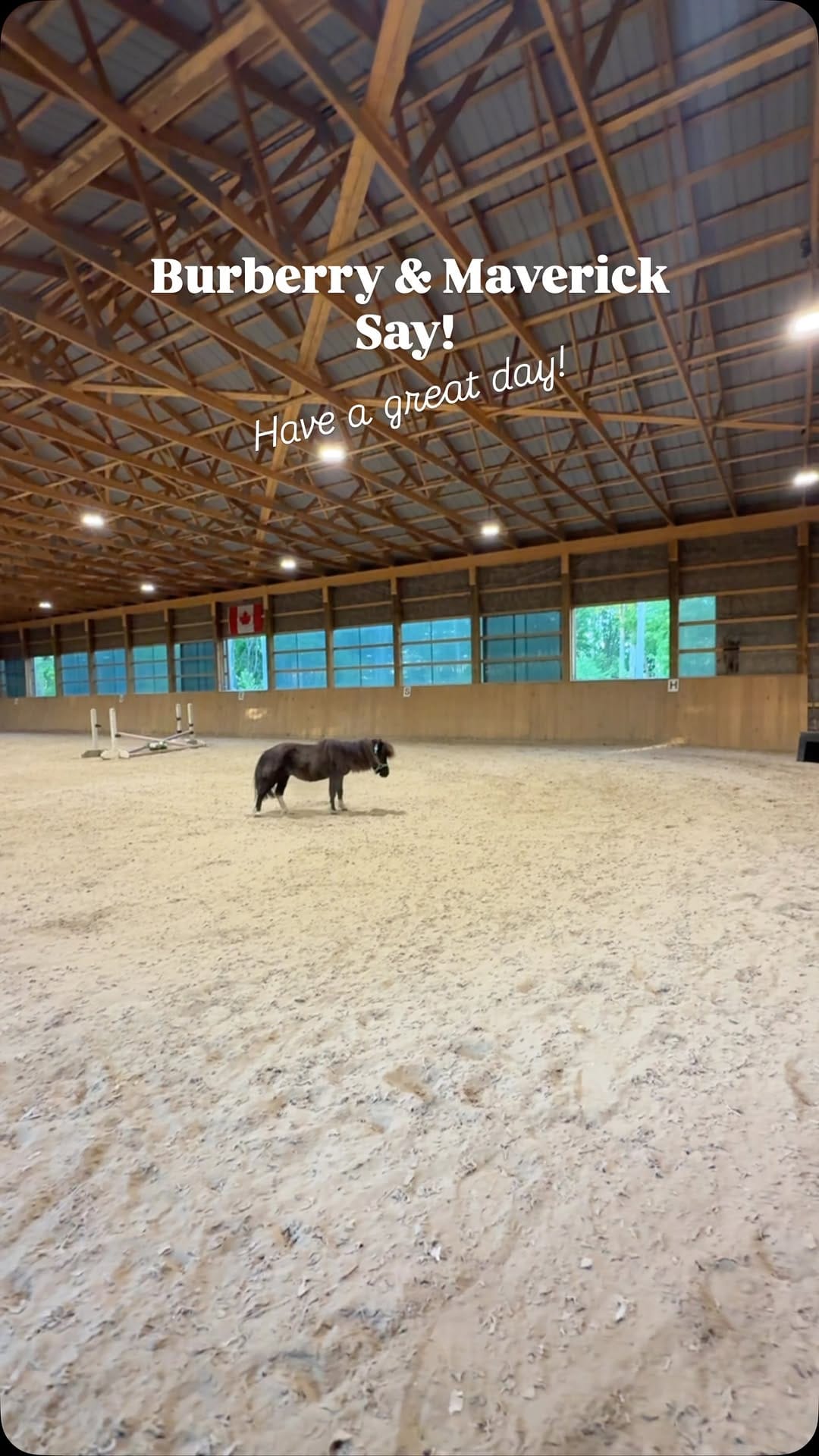 Post 2 by Tammy Saddler on Instagram (video)