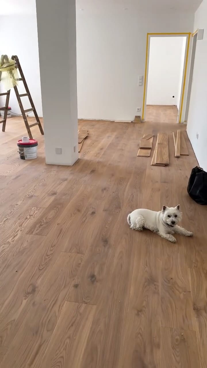 Post 4 by 𝗠𝗶𝗰𝗵𝗮𝗲𝗹𝗮 𝗗𝗲𝗶𝗻𝗶𝗻𝗴𝗲𝗿 𝗜𝗺𝗺𝗼𝗯𝗶𝗹𝗶𝗲𝗻 on Instagram (video)