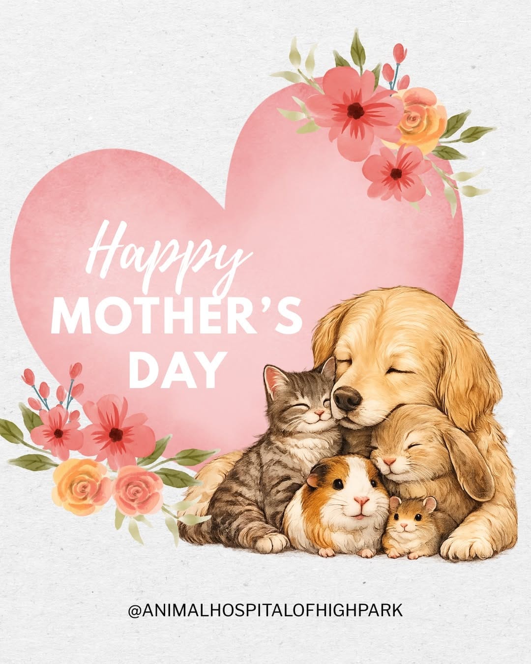 Post 9 by Animal Hospital Of High Park on Instagram (image)