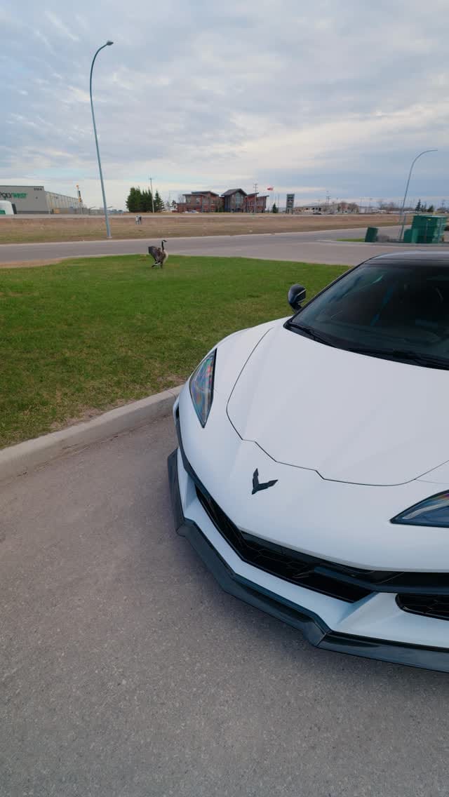 Post 3 by Protex Winnipeg on Instagram (video)