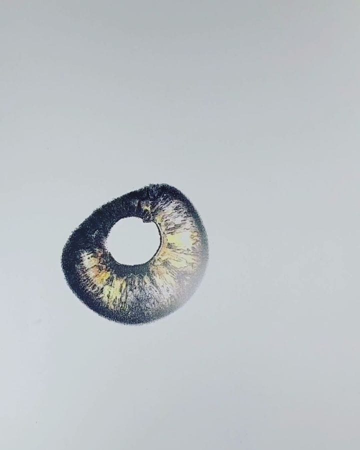 Post 2 by Bryan Kubinec on Instagram (video)