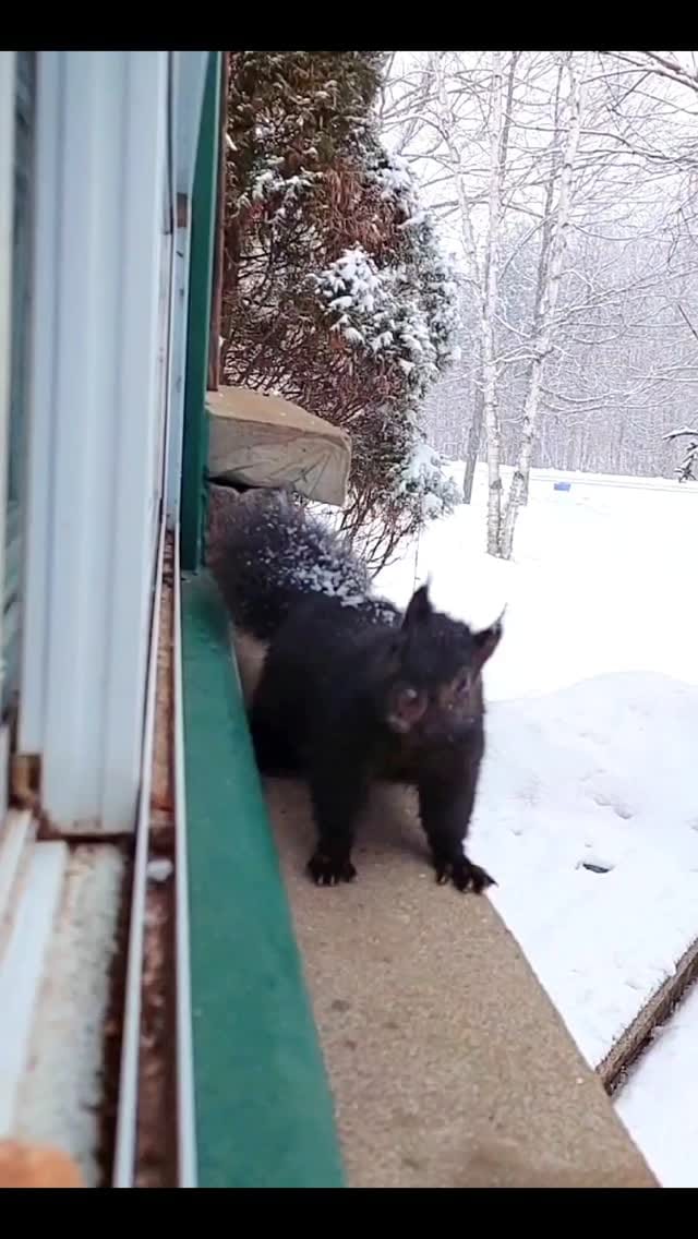Post 4 by Pamellia Johnson on Instagram (video)