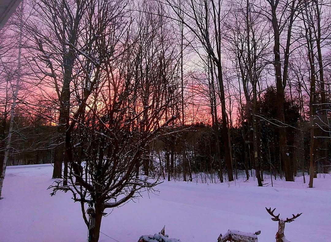 Post 3 by Pamellia Johnson on Instagram (image)