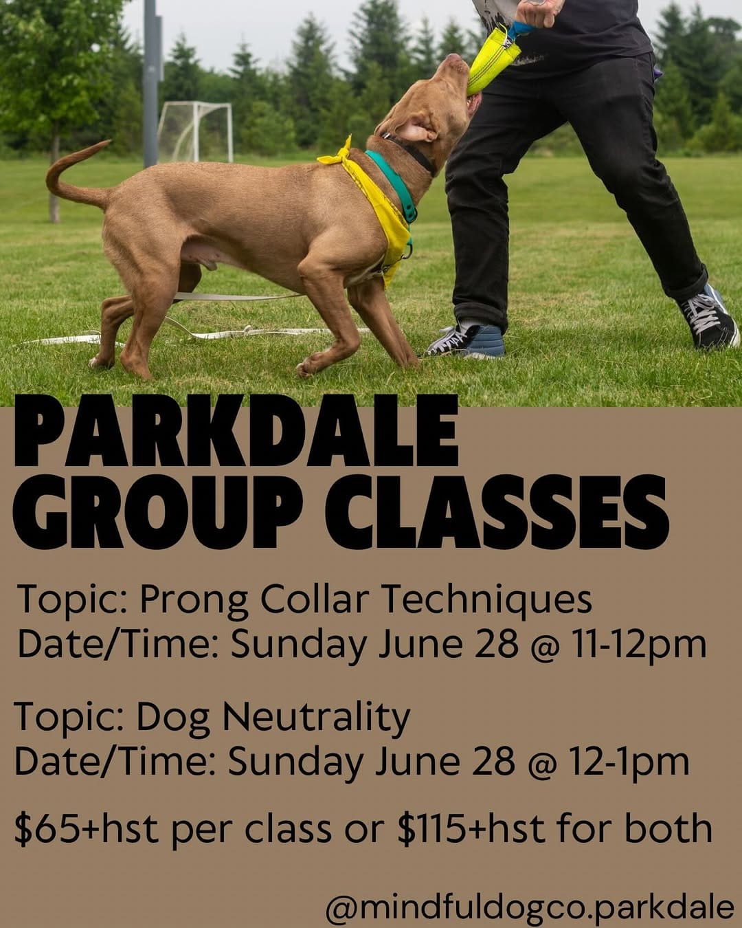 Post 1 by Mindful Dog Co • dog training & care on Instagram (image)