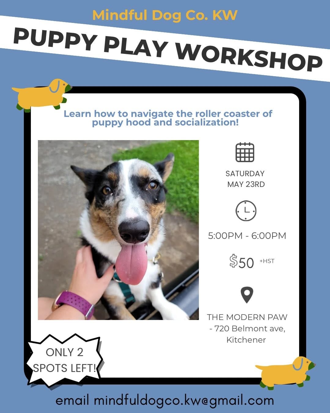 Post 4 by Mindful Dog Co • dog training & care on Instagram (carousel)