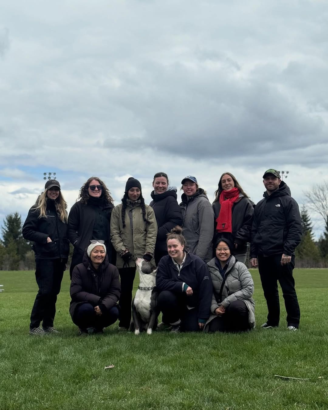 Post 6 by Mindful Dog Co • dog training & care on Instagram (image)