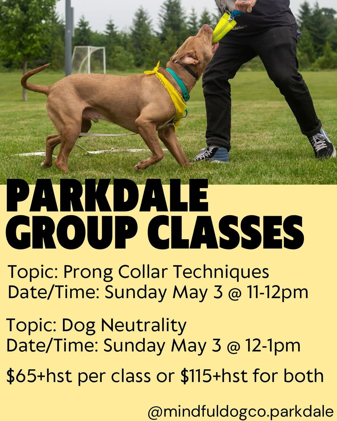 Post 7 by Mindful Dog Co • dog training & care on Instagram (image)