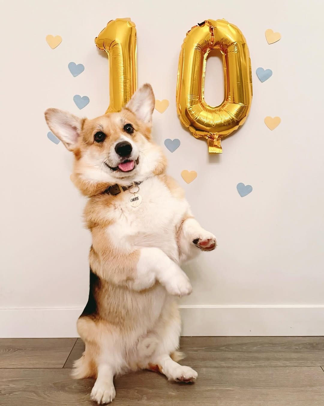 Post 10 by Chubberson (aka Chubs) on Instagram (image)