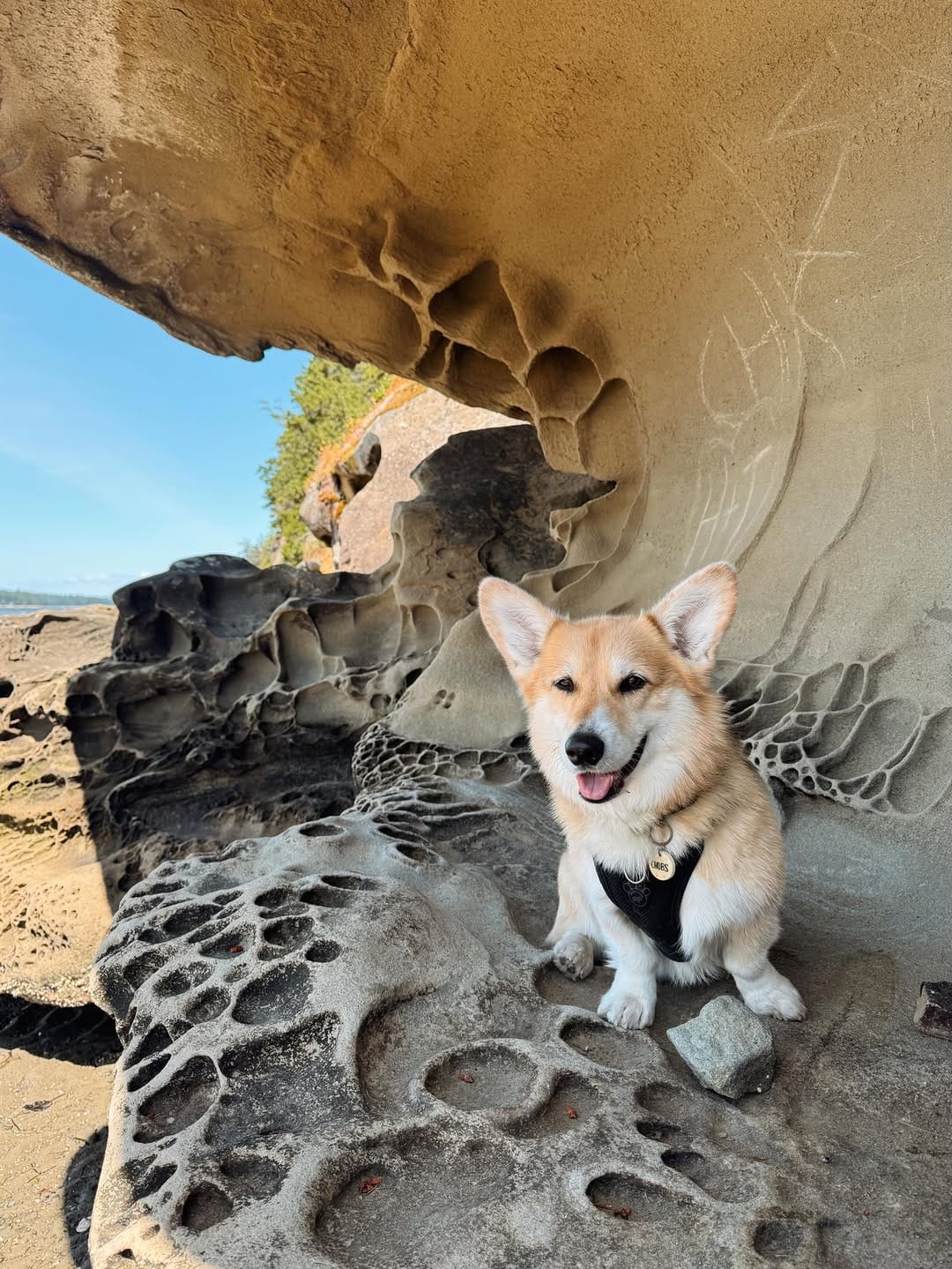 Post 1 by Chubberson (aka Chubs) on Instagram (image)
