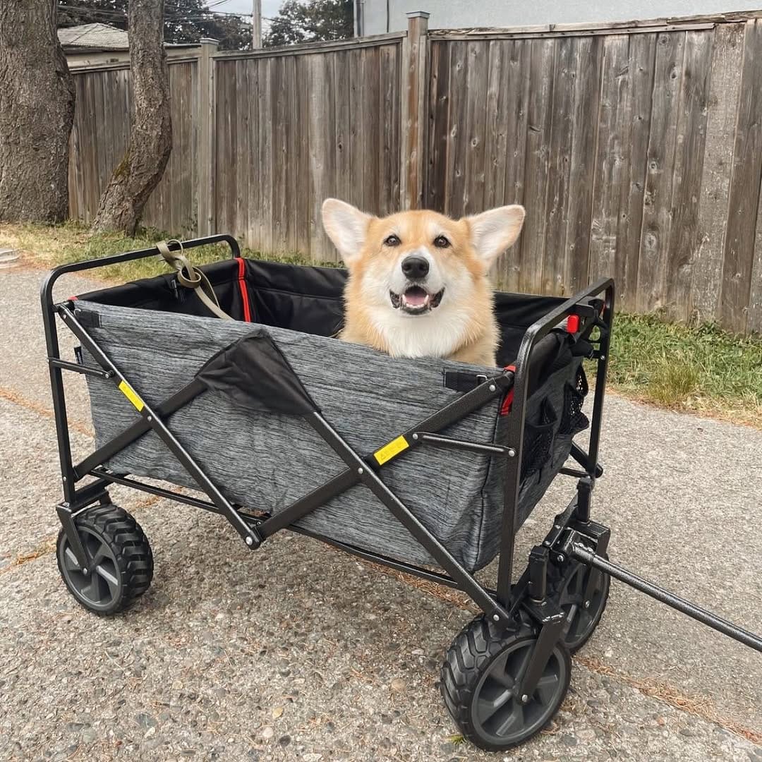 Post 4 by Chubberson (aka Chubs) on Instagram (image)