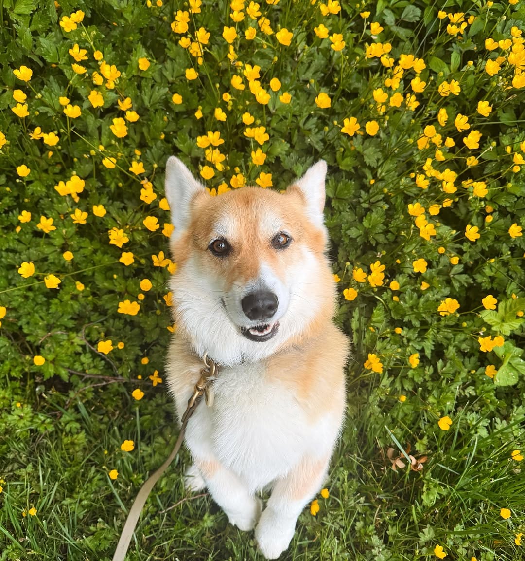 Post 5 by Chubberson (aka Chubs) on Instagram (image)