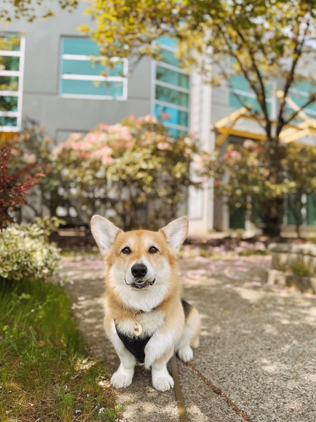 Post 8 by Chubberson (aka Chubs) on Instagram (image)