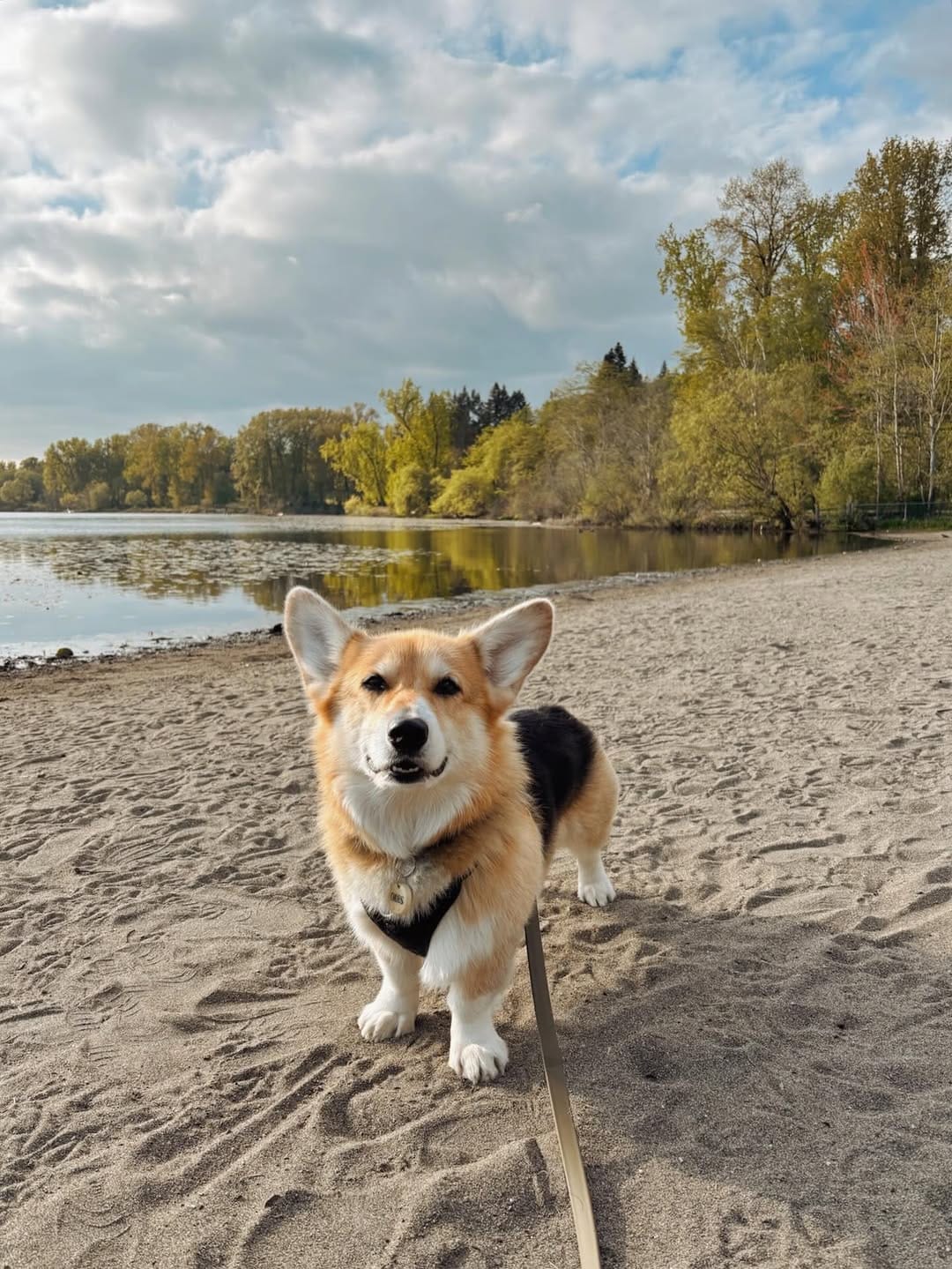 Post 9 by Chubberson (aka Chubs) on Instagram (image)