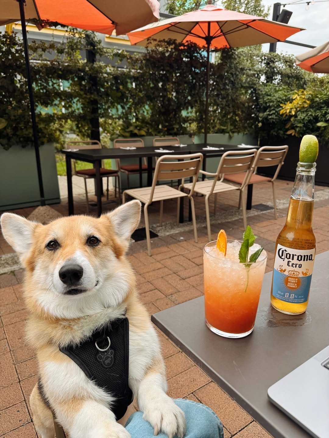 Post 3 by Chubberson (aka Chubs) on Instagram (image)