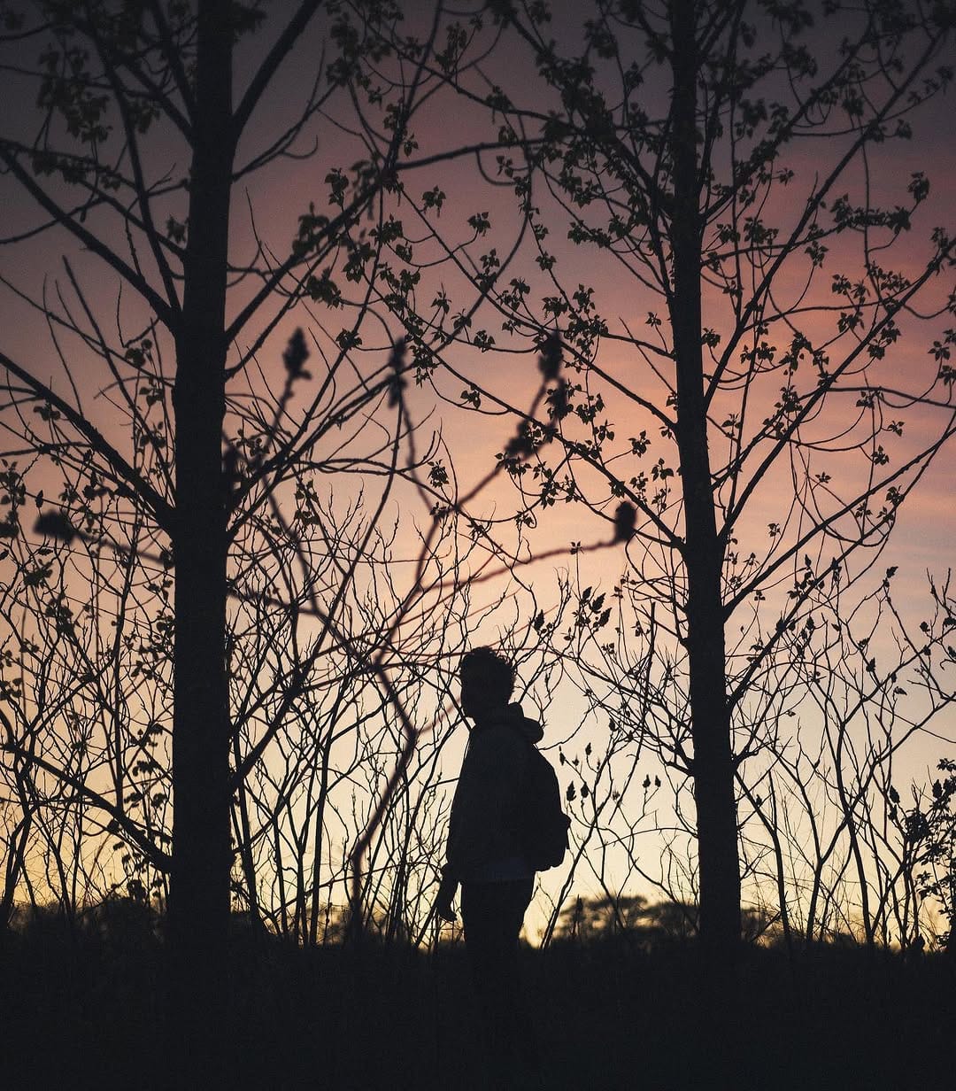 Post 4 by James on Instagram (image)