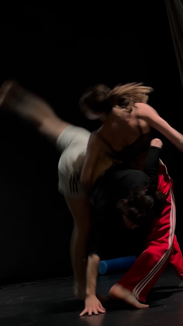 Post 10 by Sabine van Rensburg on Instagram (video)