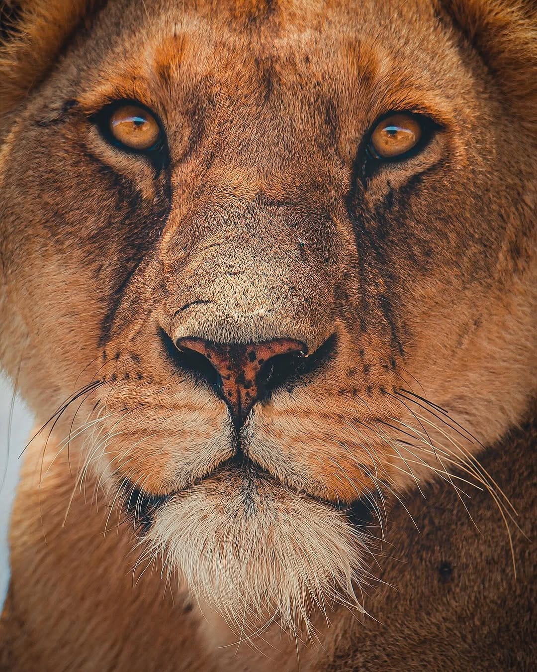 Post 5 by Jon on Instagram (carousel)
