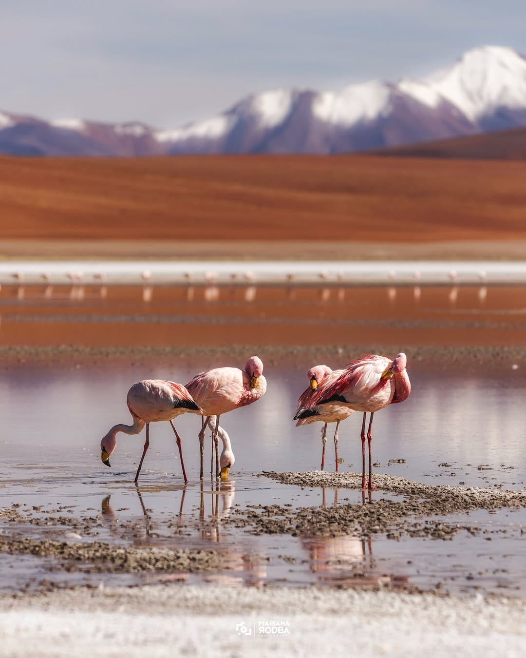 Post 2 by RodBa | Photography Workshops on Instagram (carousel)