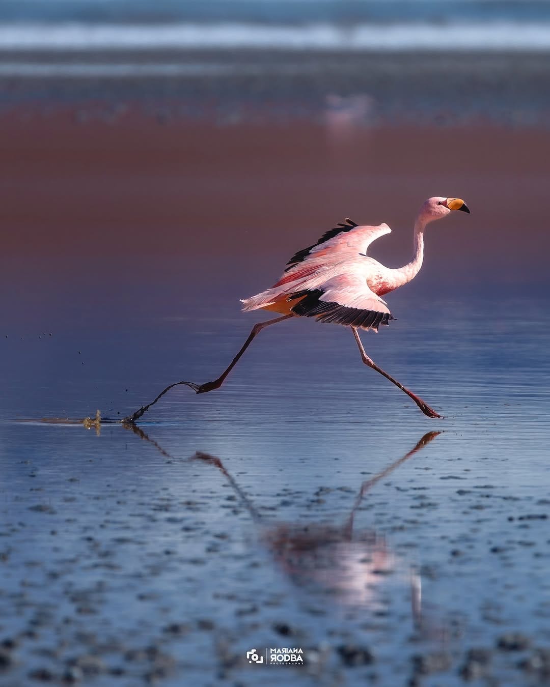 Post 7 by RodBa | Photography Workshops on Instagram (carousel)