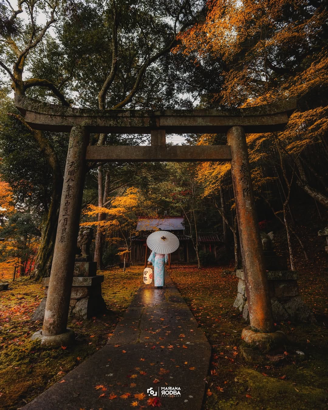 Post 3 by RodBa | Photography Workshops on Instagram (carousel)