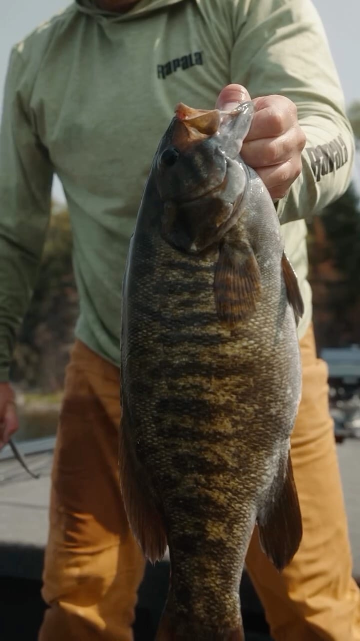 Post 3 by Bryan Gustafson on Instagram (video)
